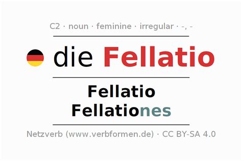 fellatio noun